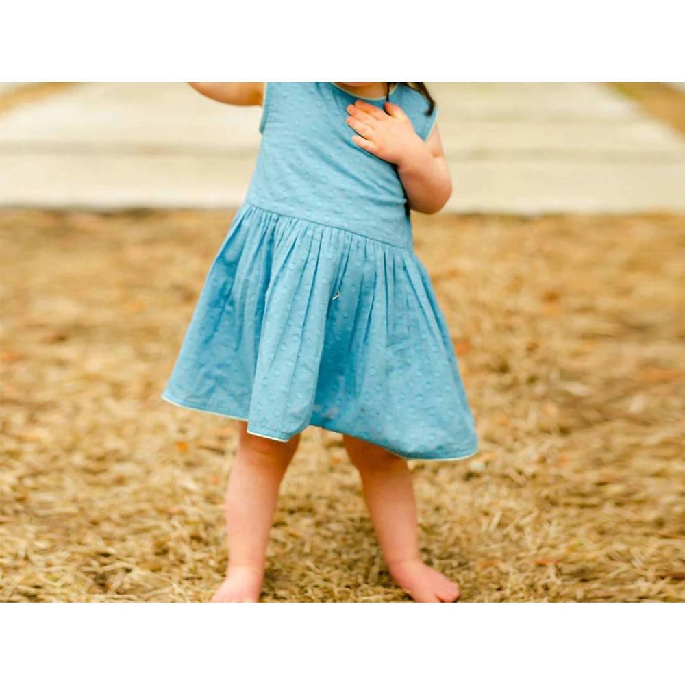 NEW DEAR GEORGIE sully dress in butterfly blue